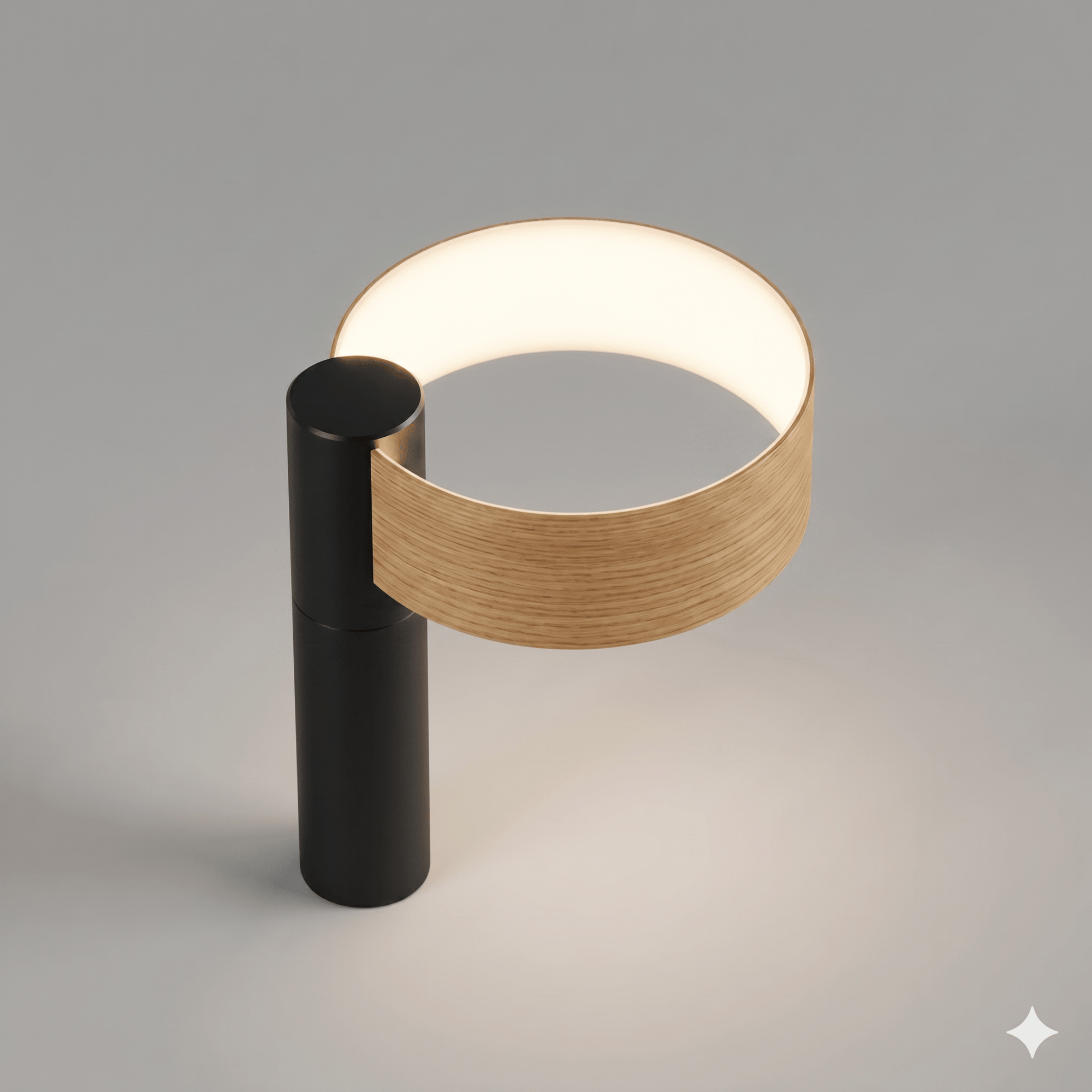 Oled portable round light